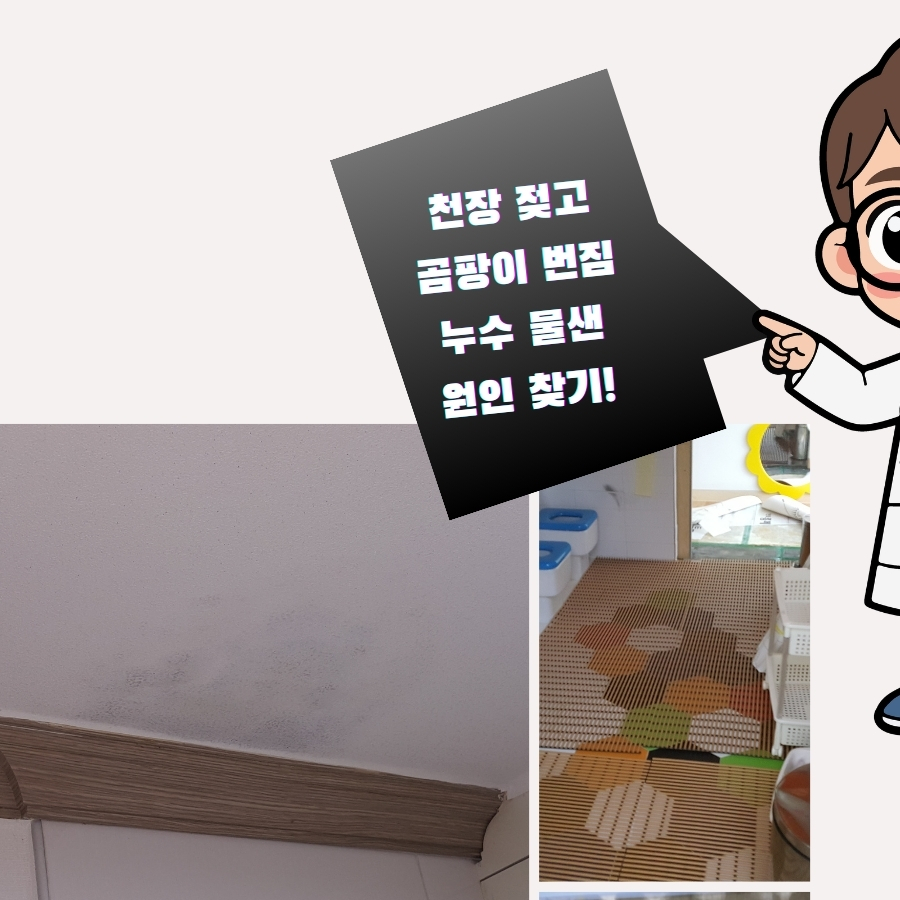 대곡동하수구막힘 배수불량 내시경 점검 사례 사진 3
